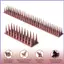 Chim Defender Spikes 12 Miếng Chống Rỉ Sét Cắt Động Vật Chặn Gai Để Giữ Chim Đi Cho Mèo Gấu Trúc mueadsyvn