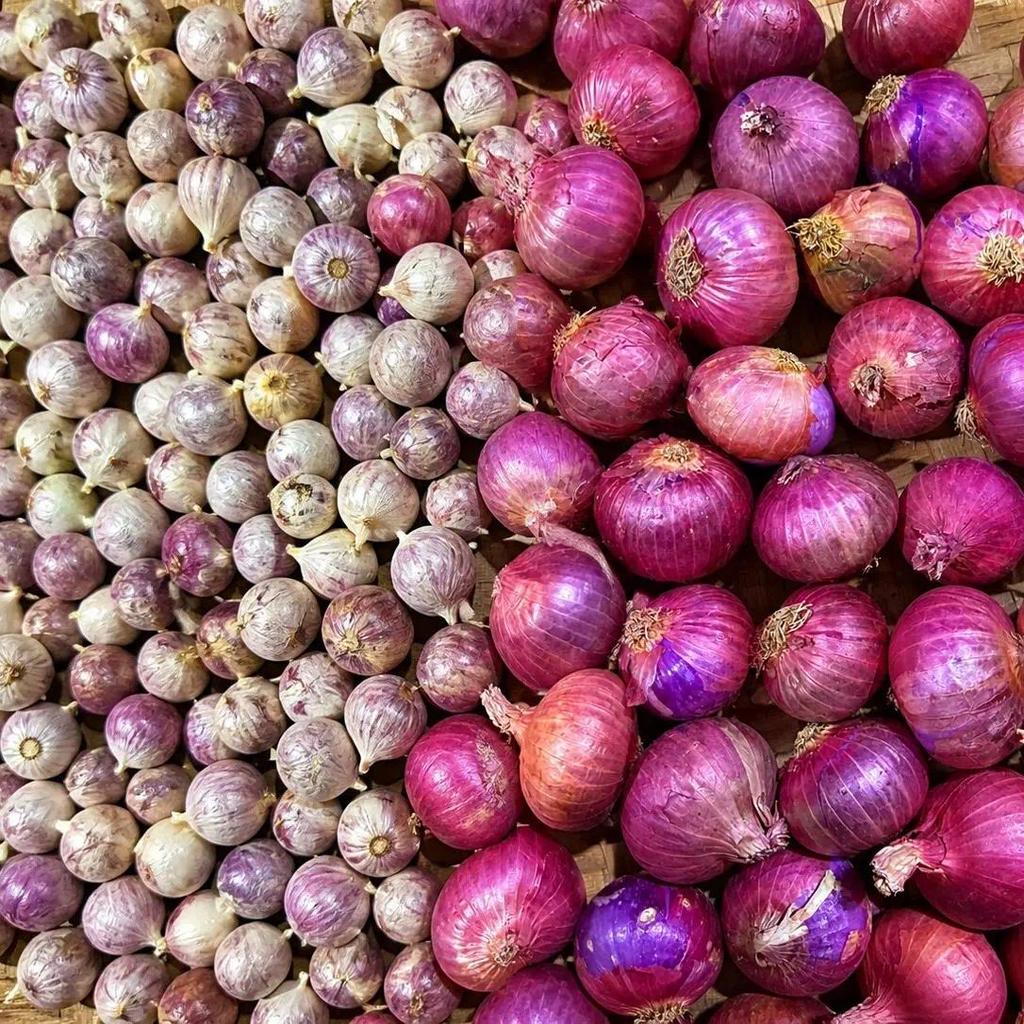 (BÁN CHẠY) TỎI CÔ ĐƠN Nhỏ KHÔ -1KG TẶNG 500G HÀNH TÍM
