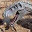 Mới Indominus Rex Với Di Chuyển Hàm Đồ Chơi Khủng Long Động Vật Thế Giới Nhân Vật Trẻ Em Mô Hình Đồ Chơi Quà Tặng Khủng Long Hình Đồ Chơi SKY