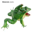 < Pluscloth > Máy trợ giảng Bullfrog Họa tiết trong suốt thu nhỏ