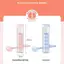PNPIA- 1 Bộ Thiết Bị Tập Thở Bụng Huấn Luyện Cơ Bụng Thở Sâu Quả Tạ Nam Nữ Người Lớn Dung Tích Phổi Thiết Bị Tập Luyện