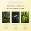 ✨Cửa hàng được đề xuất✨Aifujiapin 100g Xà Phòng Osmanthus Nam Nữ Tắm Rửa Mặt Xà Phòng Handmade Xà Phòng Làm Sạch Tinh Dầu Xà Phòng Toàn Thân Sử Dụng 5.23