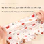 Bộ 5 món Đồ lót bé gái mùa hè, sử dụng vải Cotton co giãn, không cảm giác thân thiện với da, thiết kế bên liền mạch, Slim-Fit nhẹ.