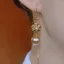 Sang Trọng Champagne Vàng Zircon Tua Rua Dây Tai Nữ Bông Tai Dài Nhẹ Sang Trọng Phù Hợp Với Đá Quý Tai Trang Sức Nữ QIOT