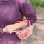 Giỏ đựng đồ Mini Hoàn thiện máy tính để bàn Mỹ phẩm Lưu trữ trang sức cho ký túc xá bé gái Tổ chức máy tính để bàn Giỏ đựng VN