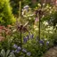 WANYEDI Sắt Hoa Trang Trí, Sắt Rỉ Kim Loại Hoa Cúc Vườn Cổ Phần, Trang Trí Mộc Mạc Cổ Điển Trang Trí Vật Có Cổ Phần Bãi Cỏ Ngoài Trời