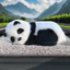Có Thể Gọi Xe Ô Tô Ô Tô Mô Phỏng Chó Trong Ô Tô Túi Than Tre Nội Thất Ô Tô Sáng Tạo Mèo Đồ Trang Trí Xe Hơi Loại Bỏ Formaldehyde