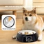 Màu In Melamine Chậm Bát Thức Ăn Cho Chó Lớn Corgi Shiba Inu Bát Thực Phẩm Gia Đình Bát Đơn Chống Trơn Trượt Thú Cưng Chó Bát Cơm