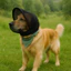 Muzzle Chó Mới Chống Dính Cắn Mõm Thoáng Khí Cho Chó Nhỏ Kích Thước Trung Bình Mặt nạ Chó Chống Dính Vỏ Cây Chặn26060513