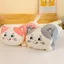 Gối Ngủ Ragdoll Mèo Siêu Mềm Búp Bê Dài Bé Gái Đồ Chơi Sang Trọng Giường Búp Bê Quà Tặng Sinh Nhật Nữ 260604