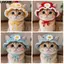 LAKAM Puppy Kittens Mũ dệt kim, Mũ mèo thủ công ngộ nghĩnh, Đạo cụ chụp ảnh thời trang Mũ thú cưng đàn hồi tinh tế