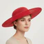 WEETW Vintage Fascinator Mũ, Mũ Lưới Màu Trơn, Thanh Lịch Lớn Rộng Vành 1920 Phụ Kiện Tóc Cô Dâu Mũ Đội Đầu Cô Gái