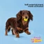 QEARY Dog Chew Ball, Bóng đồ chơi thú cưng hoạt hình có độ đàn hồi cao, Đồ chơi huấn luyện bóng nảy chống cắn bằng cao su dễ thương cho chó lớn nhỏ