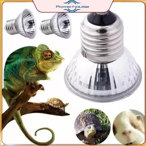 POWER 25 / 50 / 75W Đèn sưởi bò sát Đèn phát hiện rùa Thằn lằn Bóng đèn sưởi Rắn Chim thú cưng Đèn nền cho ăn chiếu sáng.