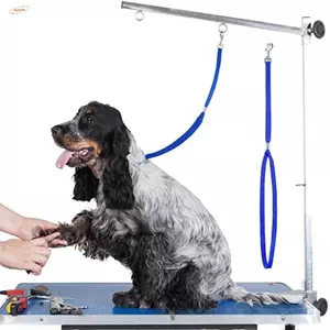 Dây cố định chải lông thú cưng ZENZON, Dây xích an toàn cho chó con có thể điều chỉnh Dây hạn chế chải lông cho chó, Phụ kiện thú cưng Dây đeo tắm cho chó màu trơn Nylon Dây kéo làm sạch