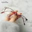 AqToCna Thời Trang Vintage Chống Ánh Sáng Xanh Cho Nam / Nữ Ống Kính Có Thể Thay Thế AqToCna