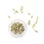 Nhíp 10 / 50 Chiếc Bộ Dụng Cụ Loại Bỏ Liên Kết Đồng Hồ Dây Chuyền Dụng Cụ Dây Xích Liên Kết Pin Tẩy Để Điều Chỉnh Dây Đeo Đồng Hồ Và Sửa Chữa Đồng Hồ VN