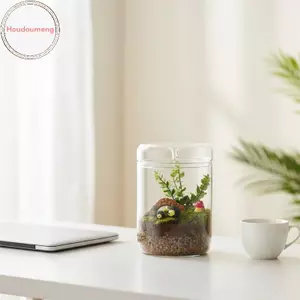 Houdou Chai thủy tinh trong suốt Bộ sưu tập sương sáng tạo 1 Bình thủy tinh Mini Nhân giống cây trồng để trang trí phòng khách VN