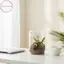 Houdou Chai thủy tinh trong suốt Bộ sưu tập sương sáng tạo 1 Bình thủy tinh Mini Nhân giống cây trồng để trang trí phòng khách VN