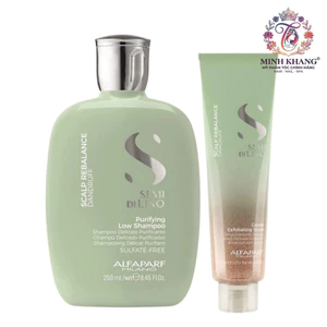 Dầu gội và tinh chất thanh khiết dành cho tóc gàu Rebalance Purifying Low Shampoo Alfaparf Milano 250ml/150ml [ MK ]