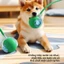 Chó Sử Dụng Đồ Chơi Tự Hoạt Động, Bạn Có Thể Tự Chơi, Cực Bền Đẹp, Đồ Chơi Tương Tác Cho Chó