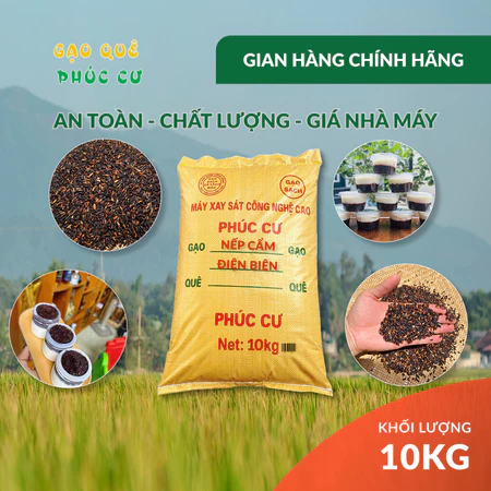 10KG Gạo Nếp Cẩm Điện Biên Đặc Sản Dẻo Thơm Nấu Xôi Sữa Chua Thơm Ngon