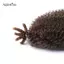 AqToCna 16 Inch Kinky Twist Marley Bện Móc Tóc Tổng Hợp Pre-Separated Springy Afro Twist Tóc Cho Bướm Locs Bím Tóc AqToCna