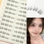Lông mi giả tự nhiên phong cách Pháp bạc hà mềm mại hàng ngày để trang điểm cho người mới bắt đầu và chuyên gia