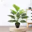 Nhánh lá cọ nhân tạo ZENZON, Cây cọ nhân tạo bằng nhựa lớn, Trồng hoa Cây nhiệt đới 65-82cm Đám cưới dương xỉ nhân tạo màu xanh lá cây