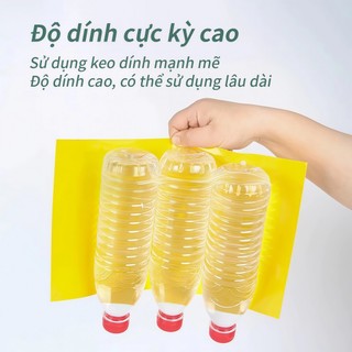 Bẫy ruồi vàng, bẫy màu côn trùng 2 mặt - Hiệu quả với nhiều loài gây hại cho vườn lan, rau hoa màu và cây ăn trái-SUNND