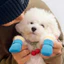 Chân Chó Che Đế Mềm Chống Trơn Trượt Chống Thấm Nước Tất Thú Cưng Teddy Bichon Chó Nhỏ Chống Mài Mòn Thoáng Khí Chống Bẩn Giày26060301