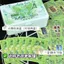 Blue Tarot Tarot Classic Giá trị cao 78 miếng Tarot Original Learning Tower Butterfly Card