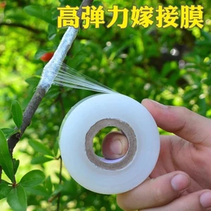 Phim ghép cây trái cây Không nút thắt 3cm5cm6cm8cm10cm Phim kéo dài Phim mang đi Phim cuộn nhỏ PE
