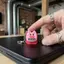 # HB # Pink Pig Swear Âm Thanh Móc Khóa Vui Nhộn Giảm Căng Thẳng Động Vật Loa Đồ Chơi Cho Chìa Khóa Xe Hơi Mới Lạ Túi Mặt Dây Chuyền Quà Tặng Người Bạn.