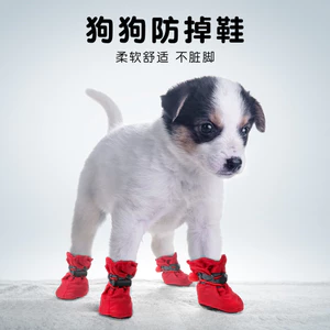 Giày Thú Cưng Phản Quang Đi Chơi Mưa Giày Chống Rơi Teddy Bichon Giày Chó Đế Mềm Chống Thấm Nước Mùa Xuân Thu Bốn Mùa Đồ Dùng Cho Thú Cưng26060301