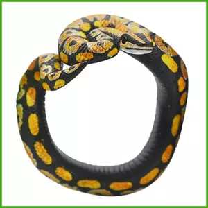 Đồ Chơi Rắn Vòng Tay Boa Vòng Tay Đồ Chơi Rắn Dây Đeo Tay Boa Thực Tế Vòng Tay Cho Halloween Cosplay Đảng Pranks wipqsvn