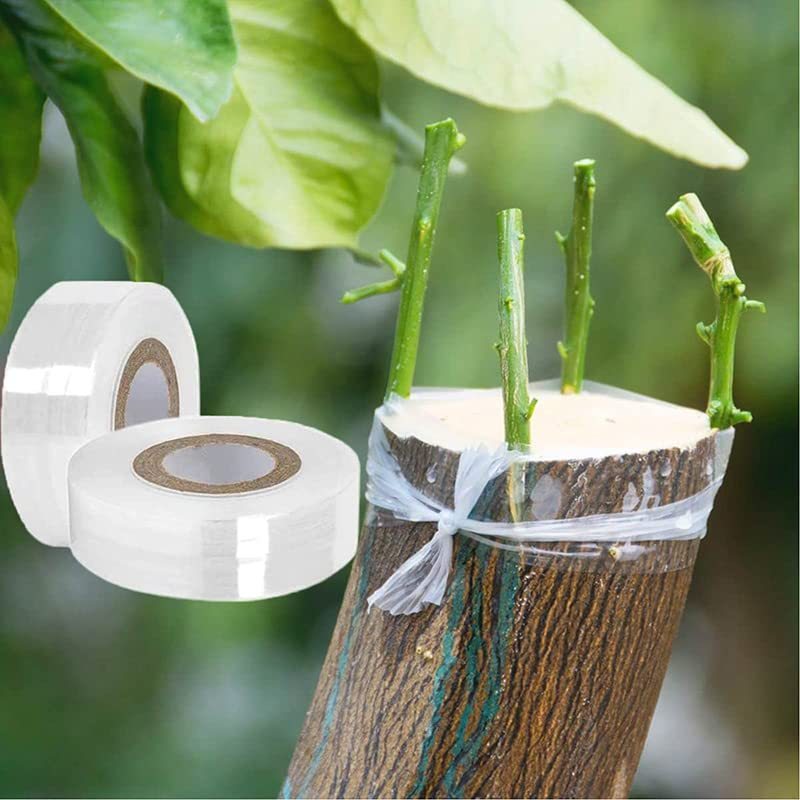 Băng Keo Ghép Cây Tự Hủy 200m Bản 3cm/4cm/5cm/10cm Màng Ghép Cây PE Quấn Mắt Ghép Keo Quấn Cành Cây Ăn Trái