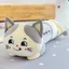 Gối Ngủ Ragdoll Mèo Siêu Mềm Búp Bê Dài Bé Gái Đồ Chơi Sang Trọng Giường Búp Bê Quà Tặng Sinh Nhật Nữ 260604