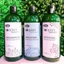Dầu gội dành cho DA DẦU LISAP KERAKERAPLANT Nature SEBUM-REGULATING Shampoo 1000ml [ MK ]