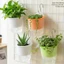 Chậu hoa tưới nước tự động treo tường - Chậu tưới nước tại nhà - Hộp đựng thực vật hai lớp - Chậu hoa thủy canh - dành cho ban công, tường sân vườn / tàu miễn phí