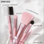 Bộ Cọ Trang Điểm SIVANNA COLORS 5 Cây Cao Cấp Lông Mềm Mịn Không Rụng Cọ Mắt Má Hồng Môi & Chân Mày Makeup BR01