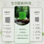 Nhút Nhát Side Cypress Leaf Usman Nuôi Dưỡng Tóc Chắc Chắn Tóc Xà Phòng Kiểm Soát Dầu Lông Tơ Nuôi Dưỡng Tóc Mạnh Thảo Dược Thực Vật Chiết Xuất Tinh Chất Dầu Gội Xà Phòng26061103