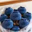 GHX Innocent Blueberry Búp Bê Mô Phỏng Sang Trọng Móc Khóa Dễ Thương Nhồi Bông Túi Đồ Chơi Quyến Rũ Cho Nữ Trường Bapa Trang Trí VN