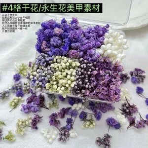 Henna Vật Liệu Trang Trí Hoa Nhỏ Mini Bud Tím 4 Lưới Tự Làm Handmade Móng Tay Trang Sức