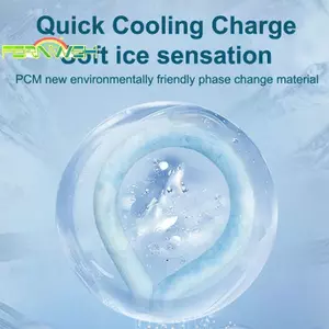 Ngoài Trời Mùa Hè Ne Cooler Cắm Trại Leo Núi Làm Mát Ne Ring Dụng Cụ Làm Mát Ngoài Trời Cho Cắm Trại Đi Bộ Đường Dài Đi Xe Đạp Chạy Câu Cá [MỚI]