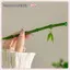 JRP 2024 Mới Phong Cách Trung Hoa Nhựa Xanh Lá Tre Tóc Sti Cho Nữ Cô Gái Vintage Acrylic Chopsti Kẹp Tóc Phụ Kiện Tóc JRP