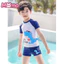 Bộ đồ bơi hai mảnh in hình khủng long hoạt hình cho bé trai, đồ bơi ngắn tay đi biển và suối nước nóng