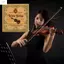 Dây đàn violin sư tử ZENZON King, Bộ dây đàn violin lõi thép V134, Phụ kiện đàn violin Cuộn dây đồng trắng buổi hòa nhạc phổ thông