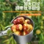 Công cụ đặc biệt cho táo tàu Chọn trái cây bằng thép không gỉ Dụng cụ hái trái cây dày mới Đa chức năng Táo tàu hái trái cây Táo tàu Dụng cụ tiện dụng QMP