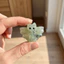 THEGIRL8B Bat Figurine, Trang trí dơi tự nhiên được chạm khắc, Máy tính để bàn điêu khắc Mini Obsidian Labradorite nhỏ dễ thương